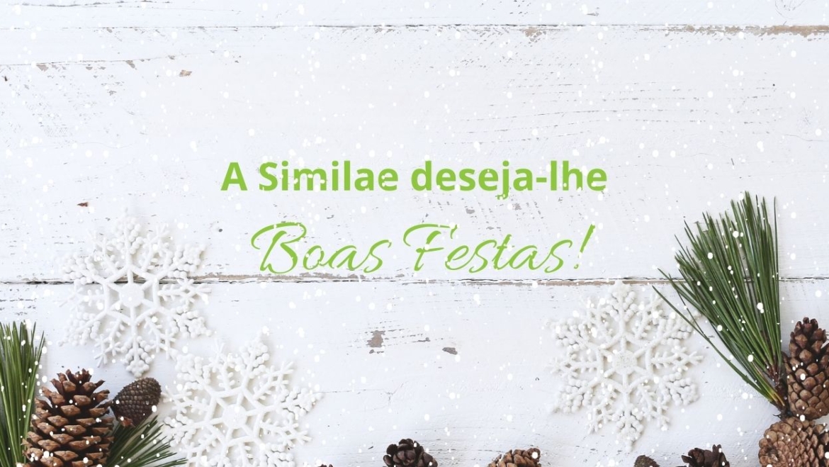 Similae wishes you a Merry Christmas and a Happy New Year!